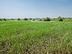 Land Category