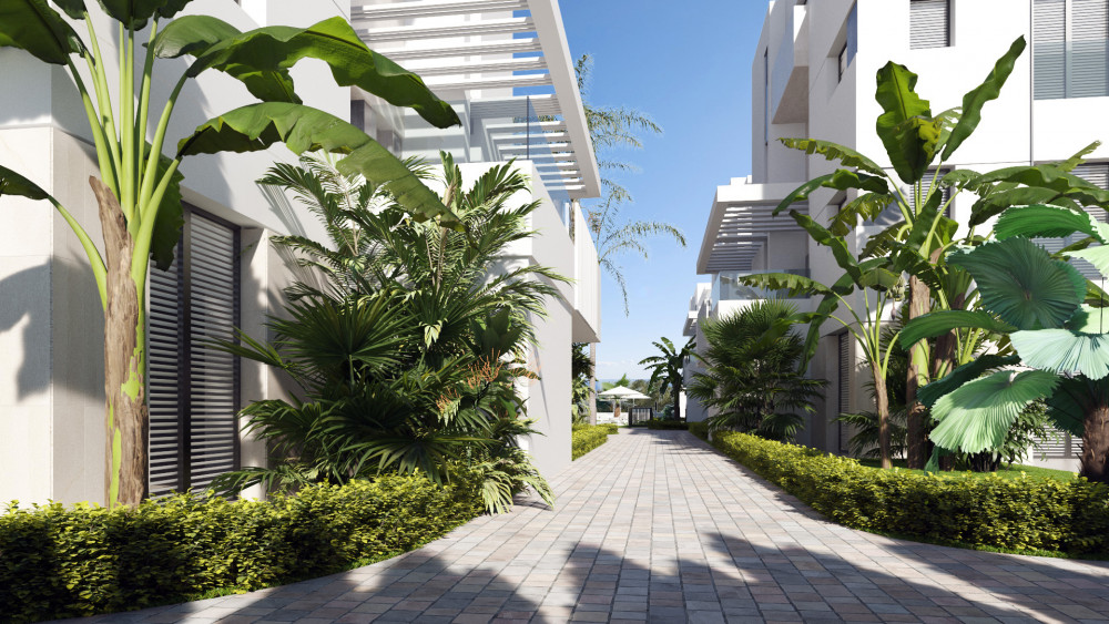 Santa Rosalía, Murcia (HH-90810393) development image