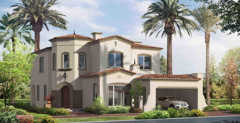 Aseel development image