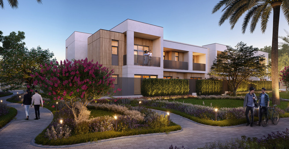 RAYA development image