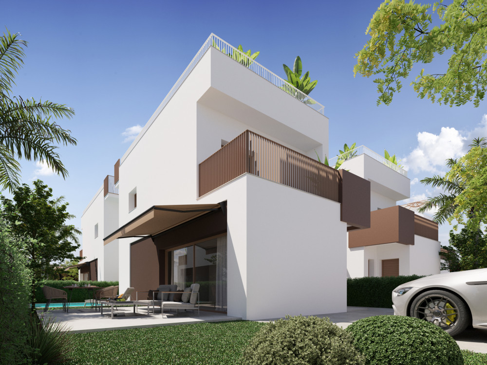 Elche, Alicante (HH-33912331) development image